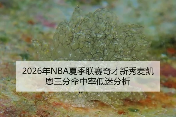nian-xia-ji-lian-sai-qi-cai-xin-xiu-mai-kai-en-san-fen-ming-zhong-lv-di-mi-fen-xi-3-578.jpg